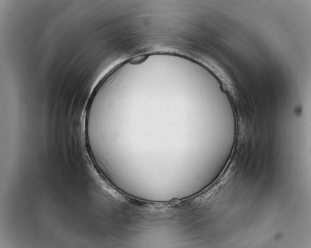 X0000098191198200805151157