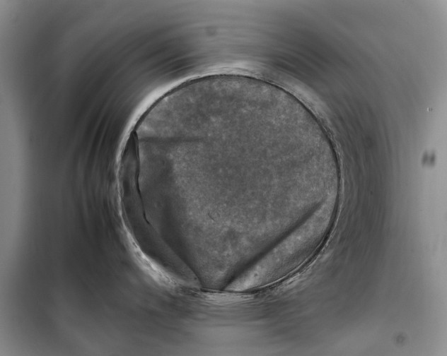 X0000098191200200805151157
