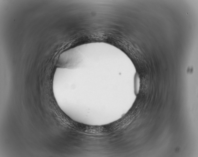X0000098191201200805151157