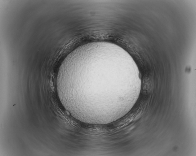 X0000098191202200805151157