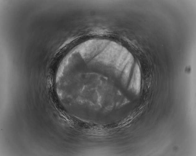 X0000098191206200805151157