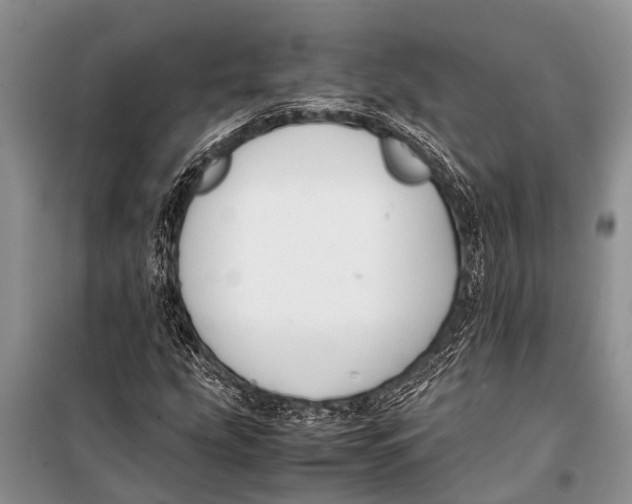 X0000098191207200805151157