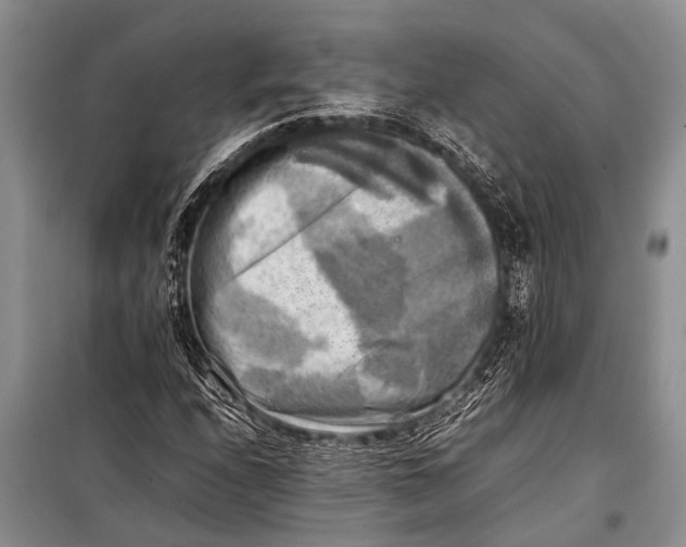 X0000098191208200805151157