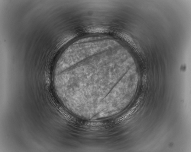 X0000098191209200805151157