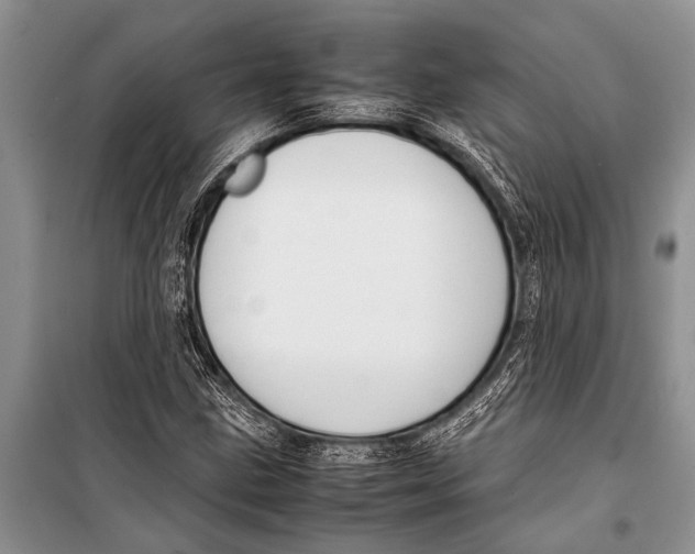 X0000098191211200805151157