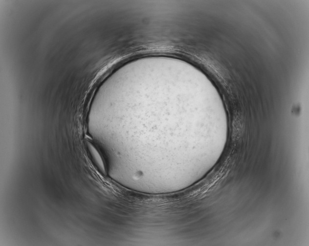 X0000098191212200805151157