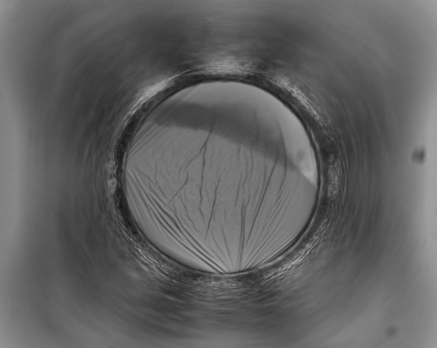 X0000098191213200805151157
