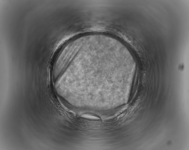 X0000098191214200805151157
