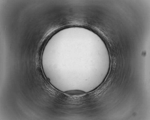 X0000098191215200805151157