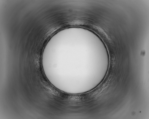 X0000098191217200805151157