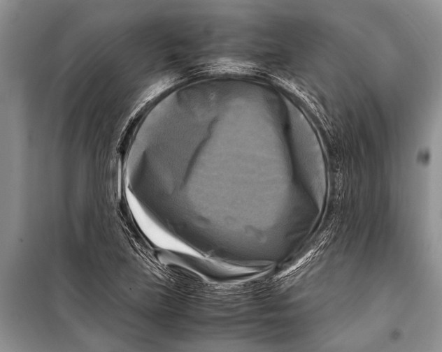 X0000098191219200805151157