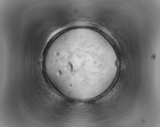X0000098191222200805151157