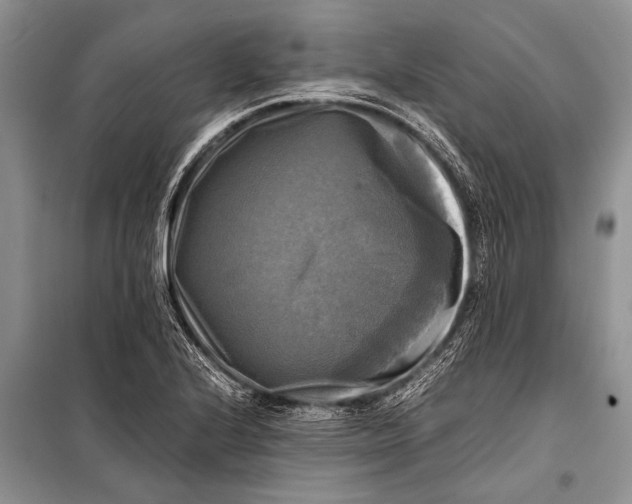X0000098191224200805151157
