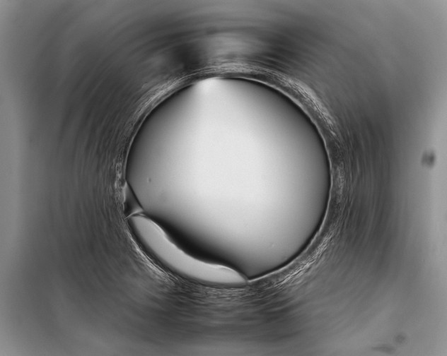 X0000098191225200805151157