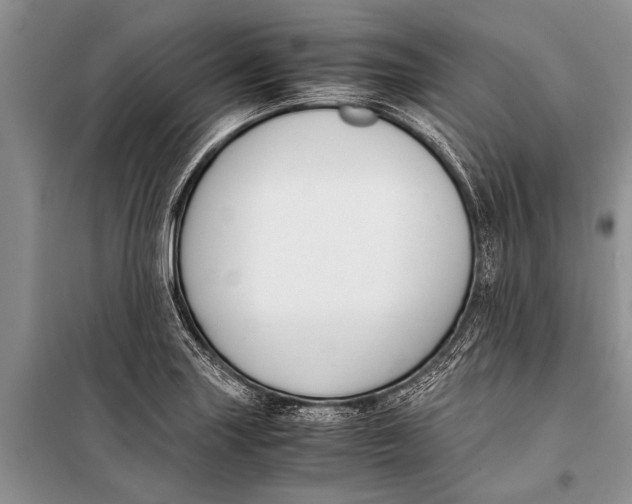 X0000098191227200805151157