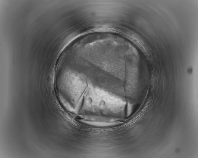 X0000098191228200805151157