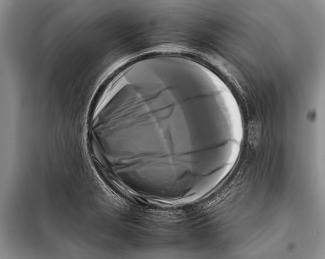 X0000098191229200805151157