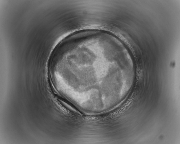 X0000098191230200805151157