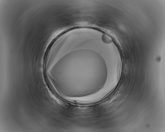 X0000098191231200805151157