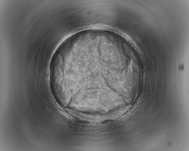 X0000098191232200805151157