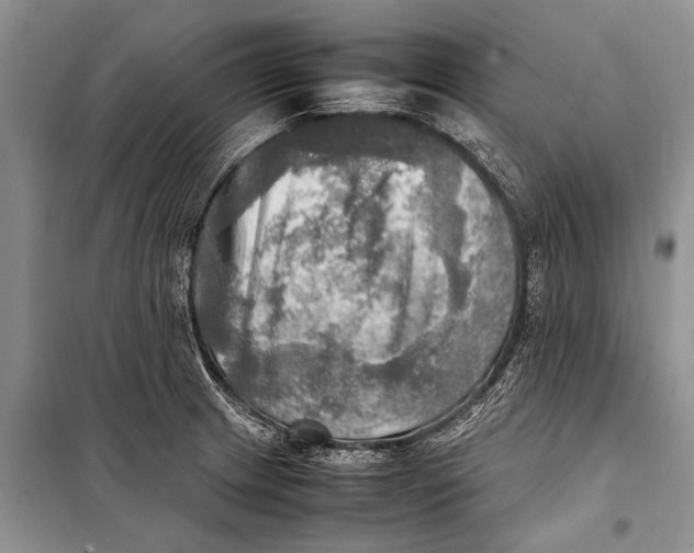 X0000098191233200805151157