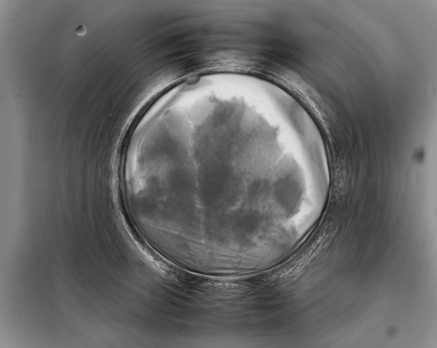 X0000098191235200805151157