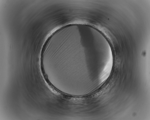 X0000098191237200805151157