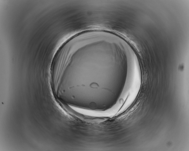 X0000098191239200805151157