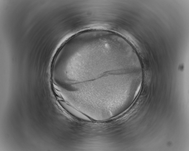 X0000098191240200805151157