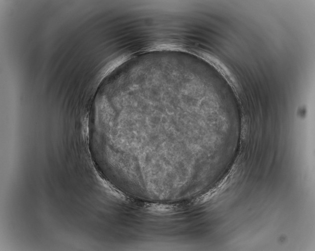 X0000098191241200805151157