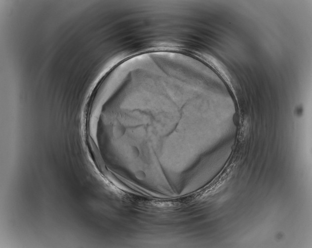 X0000098191243200805151157