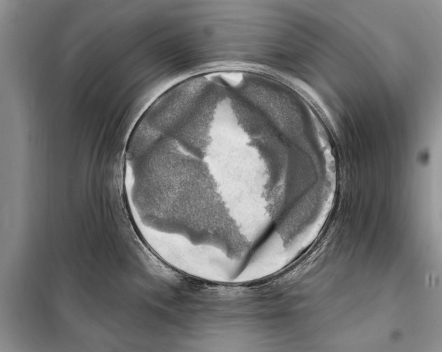 X0000098191244200805151157
