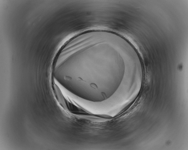 X0000098191245200805151157