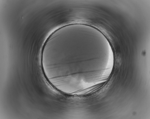 X0000098191246200805151157