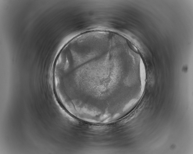 X0000098191247200805151157