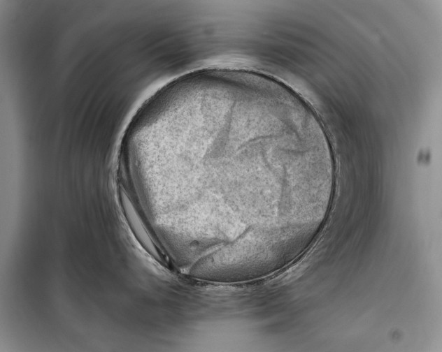 X0000098191248200805151157