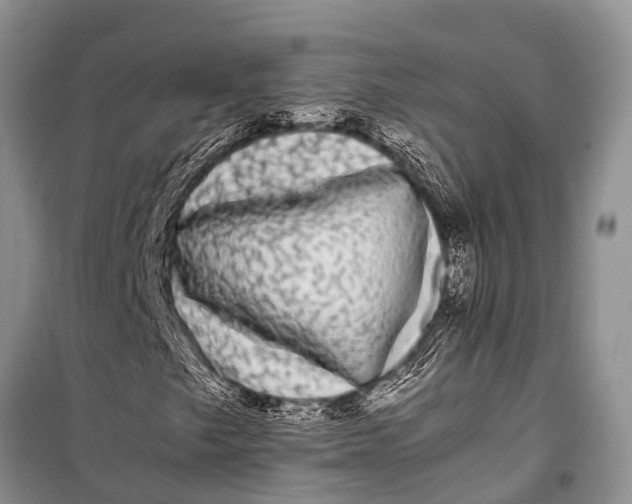 X0000098191249200805151157