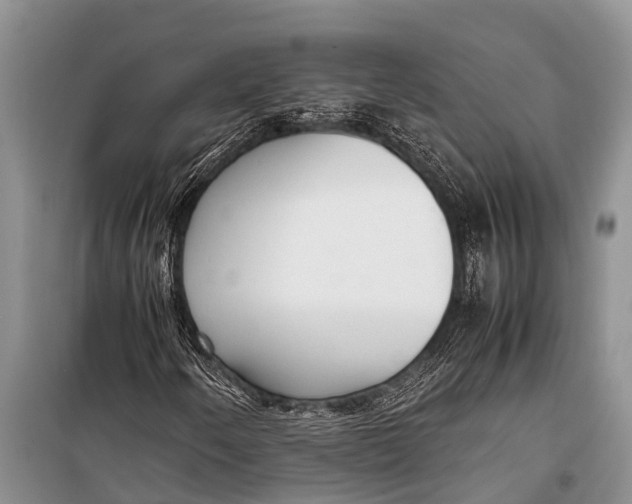 X0000098191250200805151157