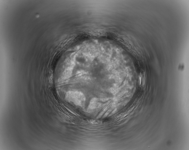 X0000098191251200805151157