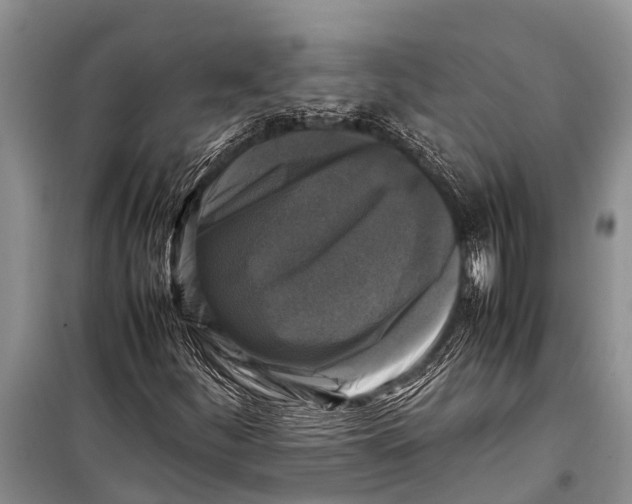 X0000098191252200805151157