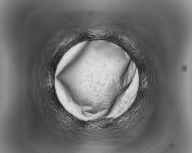 X0000098191253200805151157