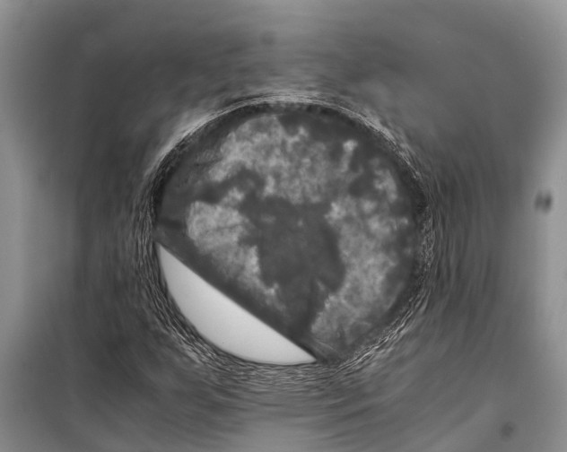X0000098191255200805151156