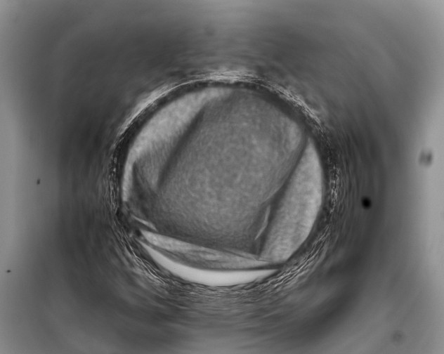 X0000098191256200805151156