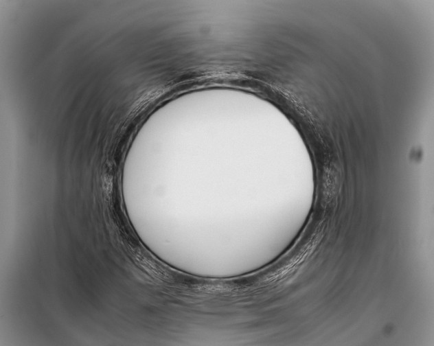 X0000098191257200805151156