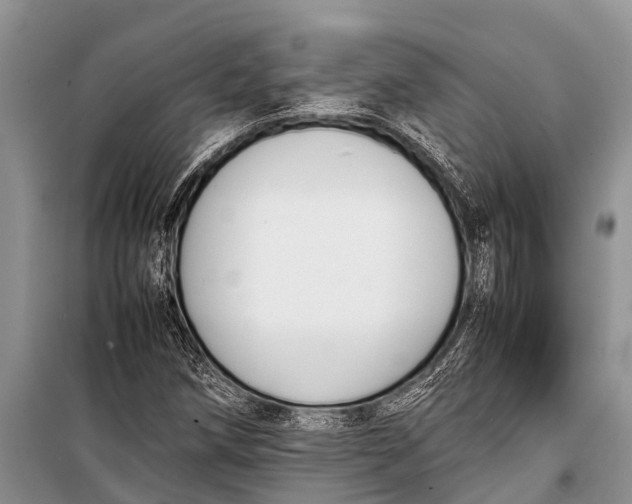 X0000098191258200805151156