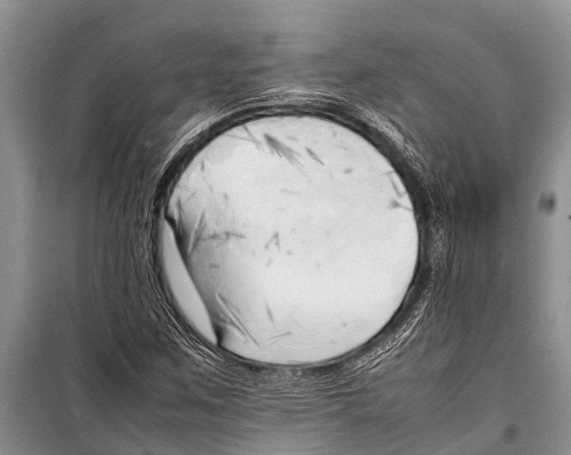 X0000098191259200805151156