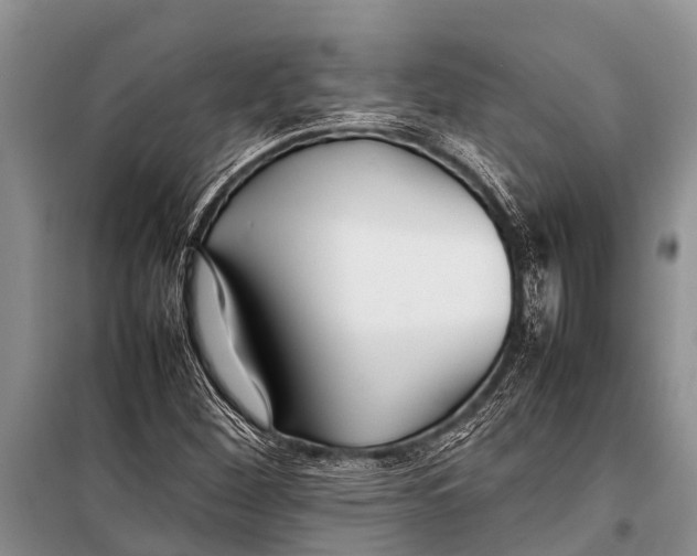 X0000098191260200805151156
