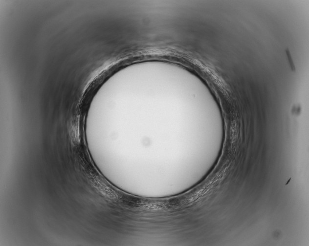 X0000098191262200805151156