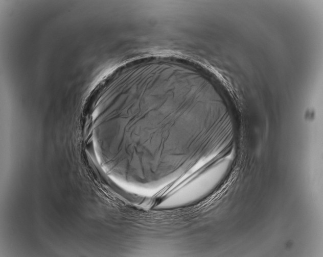 X0000098191263200805151156
