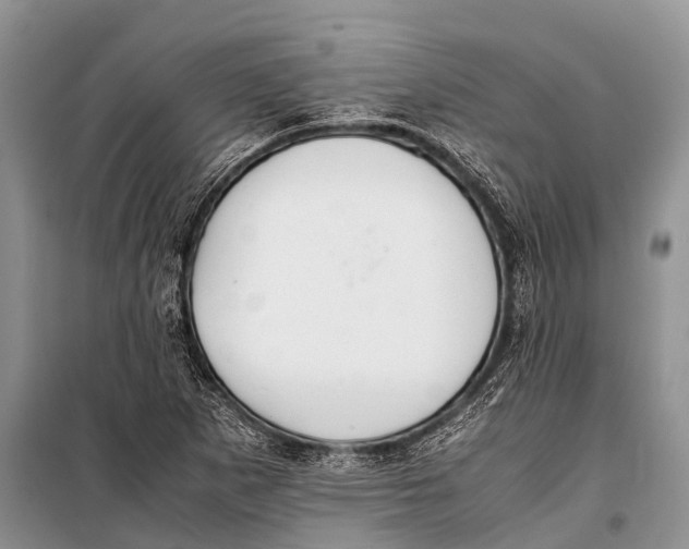 X0000098191265200805151156